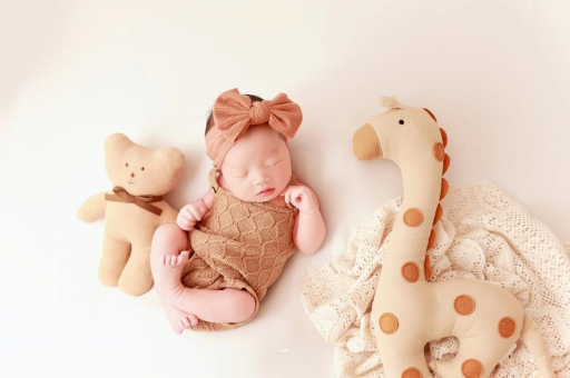 临沂宝宝虾的做法 临沂宝宝虾的做法